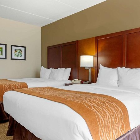 Comfort Inn & Suites Cordele Camera foto